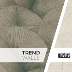 TrendWalls-Couverture TrendWalls-Couverture